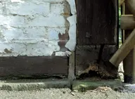 Decayed timber-frame sill beam and post foot where the frame meets the masonry plinth of a barn