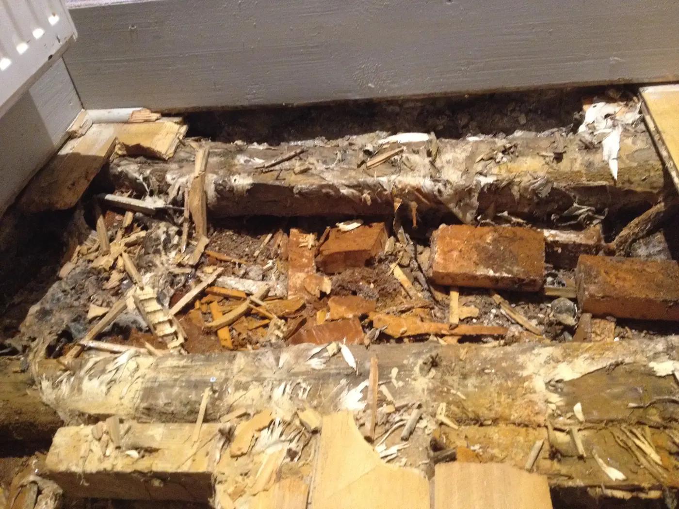 A lifted timber floor exposing destroyed joists, rubble and brick over a damp subfloor void.
