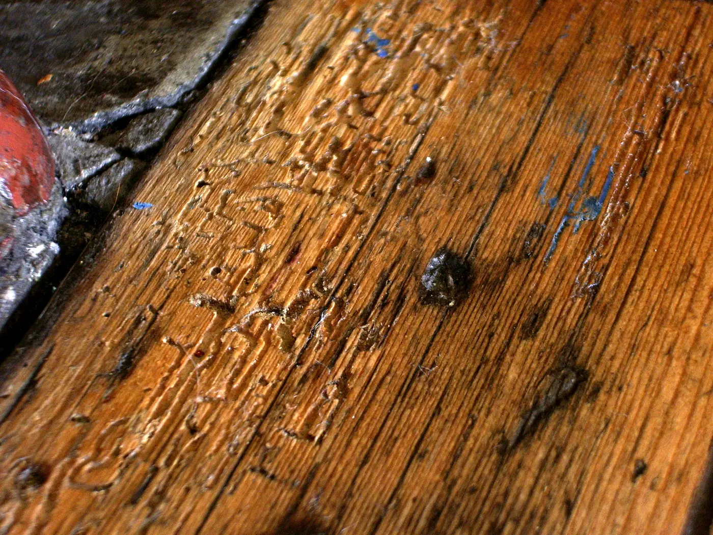 Woodworm holes and opened larval burrows across the surface of a pine floorboard.