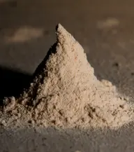 Conical pile of pale gritty bore dust (frass) produced by woodworm larvae, about 5cm high